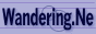 Wandering Network Wandering Network